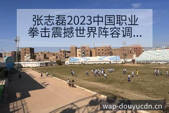 张志磊2023中国职业拳击震撼世界阵容调整影响分析历史表 - 斗鱼