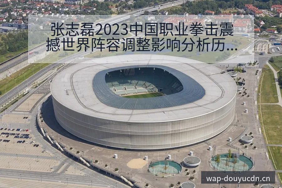 张志磊2023中国职业拳击震撼世界阵容调整影响分析历史表 - 斗鱼
